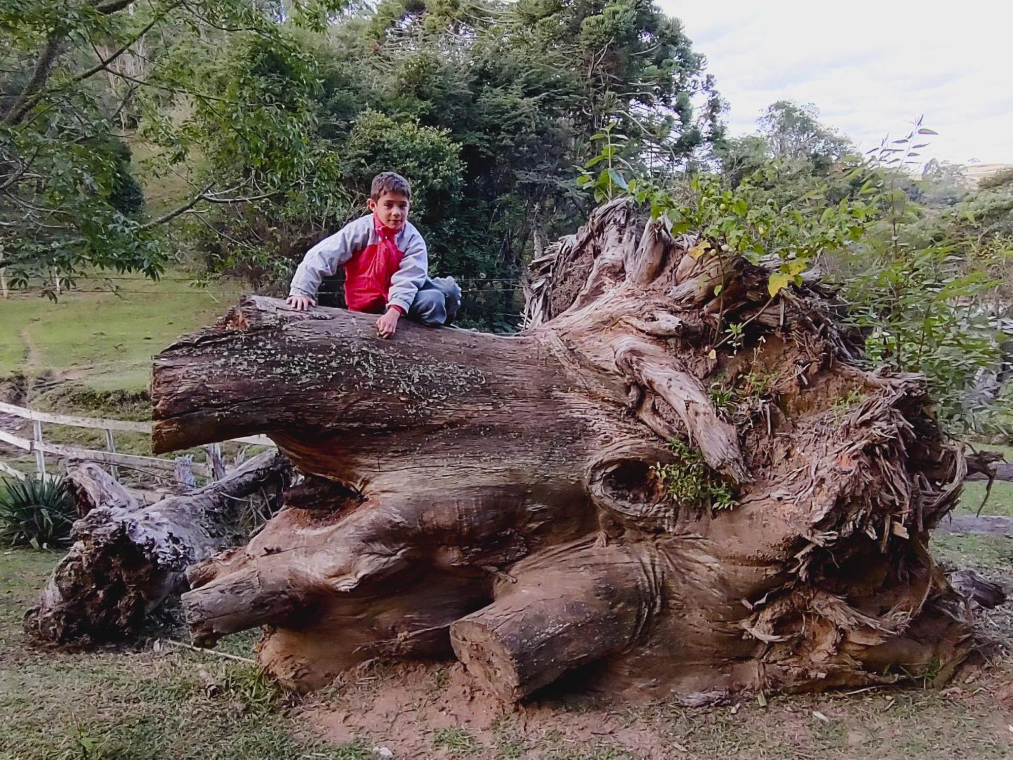 Chales Vinhas Da Harmonia L Pousada Em Cunha Sp Exteriör bild